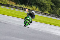 PJ-Motorsport-Photography-2020;anglesey;brands-hatch;cadwell-park;croft;donington-park;enduro-digital-images;event-digital-images;eventdigitalimages;mallory;no-limits;oulton-park;peter-wileman-photography;racing-digital-images;silverstone;snetterton;trackday-digital-images;trackday-photos;vmcc-banbury-run;welsh-2-day-enduro